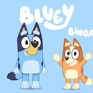 Bluey and Bingo